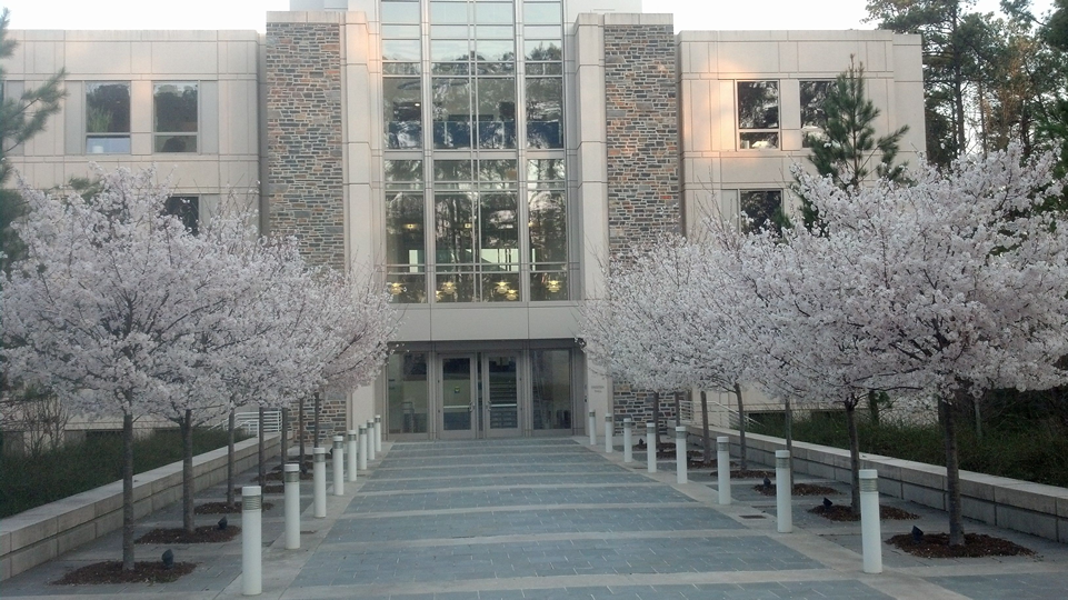 Fuqua School Of Business - Duke University Fuqua School of Business Top MBA Admission ...